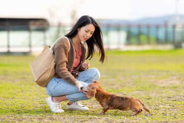 Poster - Woman feed her dachshund dog at park