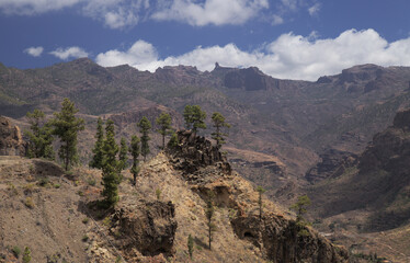 Gran Canaria, landscape of the southern part of the island along Barranco de Arguineguín steep and deep ravine
with vertical rock walls, circular hiking route starting at a hamlet Barranquillo Andres