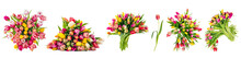 Collection Of Tulip Flower Bouquets, Set Isolated On Transparent White Background
