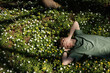 Young man laying in green grass with flowers. People fatigue from work. Summer sleeping and relaxation techniques. Vitamin D sunbathing. Man power nap with eye closed. Rest after work from home