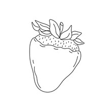 Vector Isolated One Single Strawberry Berry In Chocolate Icing Colorless Black And White Contour Line Easy Drawing