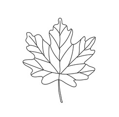 Wall Mural - Vector isolated one single maple leaf with veins colorless black and white contour line easy drawing
