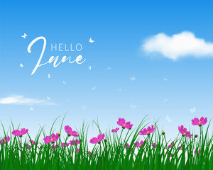 Poster - Welcome Summer Banner