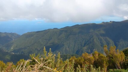 Wall Mural - View from a height of the green cliffs of the island