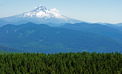 Wall Mural - Mount Rainier volcano near Seattle in Washington state, USA