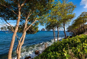 Wall Mural - Coastline panorama of Martinique island (France) in Caribbean sea with iconic volcanic rock island “Le Diamant“, breaking waves and trees. Idyllic tropical scenery near “Anse d’Arlet“, touristic site.