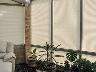 pleated blinds with beige folded fabric on the windows close-up. on the floor stand home plants in g