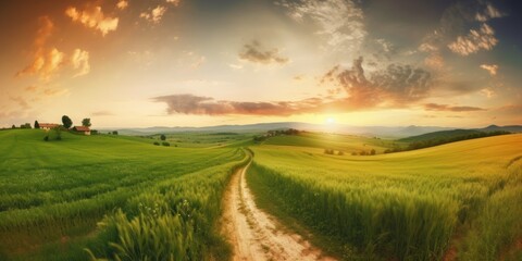 Wall Mural - Beautiful summer rural landscape, Panorama of summer green field with Empty road and Sunset cloudy sky