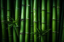 Green Bamboo Pattern Background Material On Both Sides. Generative AI