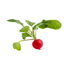 Red Radish Isolated On White Png