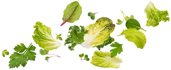 Wall Mural - Falling salad leaves isolated on white background