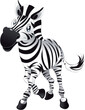 Baby Zebra, cartoon and vector character