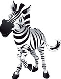 Fototapeta  - Baby Zebra, cartoon and vector character