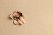 © Виктория Котлярчук - The girl's eye looks into a cardboard hole, look through the hole