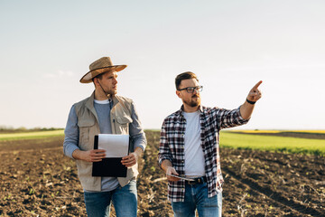 Wall Mural - Farmers are deciding about crop rotation on their field