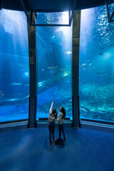 Asian woman friends looking at shoal of fish in large glass tank during travel at underwater zoo Aquarium together. Attractive girl learning and looking sea life at oceanarium on holiday vacation.