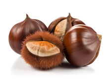 A Pile Of Chestnuts With One That Has The Word Hazelnut On It.