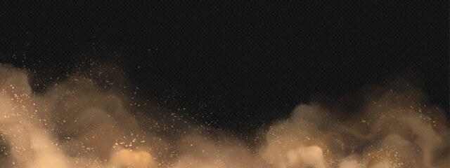Wall Mural - realistic cloud of brown dust on transparent background. vector illustration of sand storm in desert