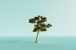 © Westend61 - Three dimensional render of lone gold colored tree standing against blue background