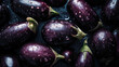 Fresh eggplants with water drops on a dark background. 