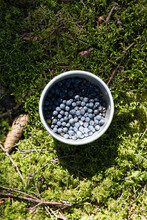 Cup Filled With Blue Berries