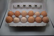 Farm eggs fresh organic backyard chickens healthy food protein
