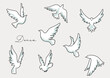 躍動的に羽ばたく白い鳩のシンプルな水彩テクスチャーイラストセット