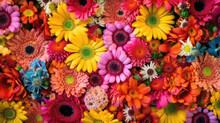 Colorful Floral Background With Various Flowers