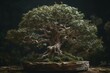 A trimmed tree of the myrtle family. Generative AI
