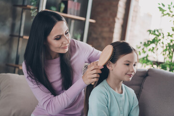 Wall Mural - Photo of cheerful positive daughter mom dressed casual clothes brushing hair indoors apartment room