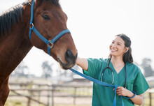 Well Have You Racing In No Time. Shot Of An Attractive Young Veterinarian Standing Alone And Attending To A Horse On A Farm.