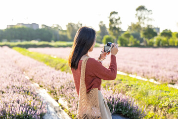 Sticker - Woman take photo of the flower field