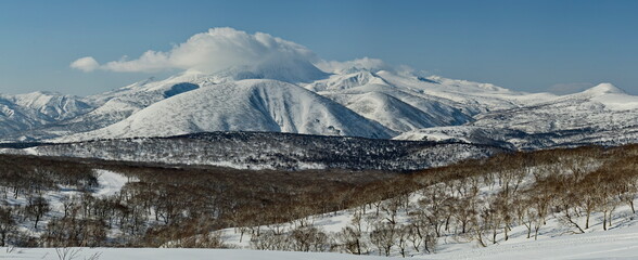 Wall Mural - Russia. Far East, Kuril Islands. View of the snow-covered volcanoes of Iturup Island, overgrown with larch and gnarled stone birch.