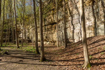 Signs of spring color on a sunny early spring hike at Starved Rock state park.