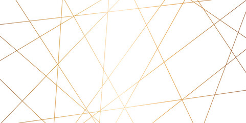Wall Mural - Luxury premium golden random chaotic wavy lines abstract background. Vector, illustration