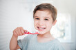 © Lumeez/peopleimages.com - I love the minty taste. Shot of a little boy brushing his teeth in a bathroom at home.
