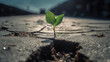 a small green sapling emerging from a crack in a asphalt surface. Generative AI