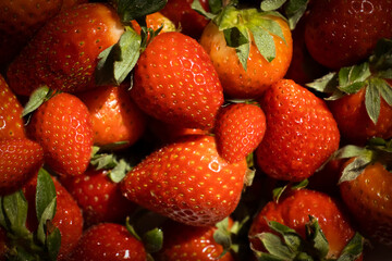 Wall Mural - Fresh strawberries close up background