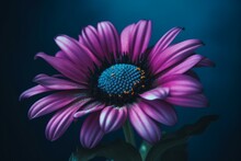 Purple Flower With Blue Center On A Blue/purple Background & Center. Generative AI