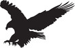 Vector silhouette of an eagle flying