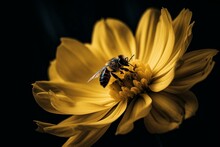 A Bee On A Yellow Flower With A Black Background. Generative AI