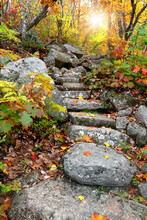 Acadia National Park - Dorr Mountain - Autumn