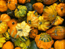 Assortment Of Ornamental Pumpkins