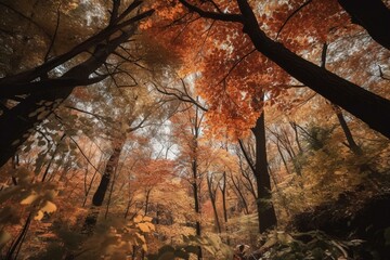 Wall Mural - Fall foliage and dense woodland viewed through the branches. Generative AI