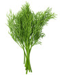 Dill isolated on white background, full depth of field