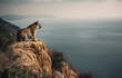 Wild animal photography of a Tiger standing on top of a cliff field high view beside river