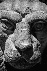  Close up fragment of an ancient statue of lion.