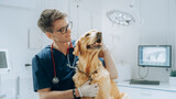 Fototapeta  - Portrait of a Young Veterinarian in Glasses Petting a Noble Healthy Golden Retriever Pet in a Modern Veterinary Clinic. Handsome Man Looking at Camera and Smiling Together with the Dog. Static Footage