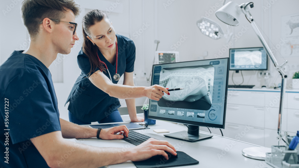 Female and Male Veterinarians Using Computer with Veterinary Clinic ...