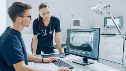 Two Young Veterinarians Using Desktop Computer with Veterinary Clinic Online Medical Database Software with a Pet X-Ray Scans. Two Colleagues Discussing Work, Gesturing and Pointing at the Display